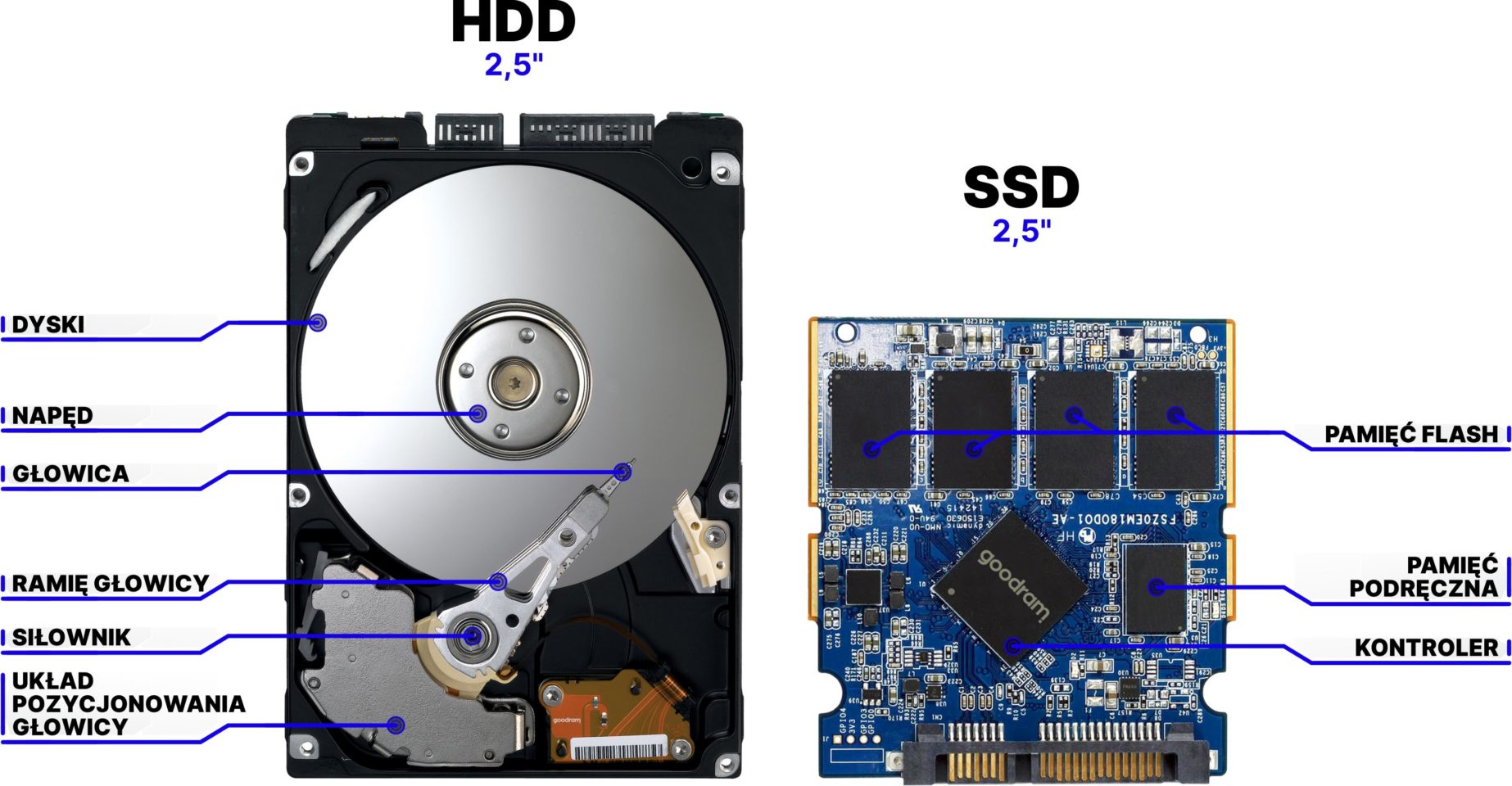 forsikring Andrew Halliday menu Dysk twardy SSD - jak wybrać, co to jest, gdzie kupić, budowa i żywotność